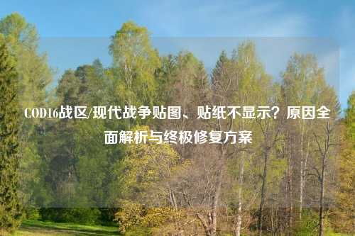 COD16战区/现代战争贴图、贴纸不显示？原因全面解析与终极修复方案