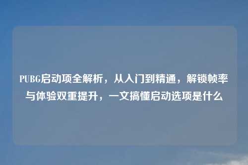 PUBG启动项全解析，从入门到精通，解锁帧率与体验双重提升，一文搞懂启动选项是什么