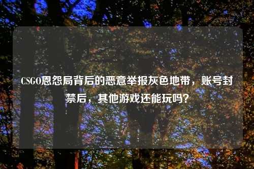 CSGO恩怨局背后的恶意举报灰色地带，账号封禁后，其他游戏还能玩吗？