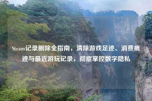Steam记录删除全指南，清除游戏足迹、消费痕迹与最近游玩记录，彻底掌控数字隐私