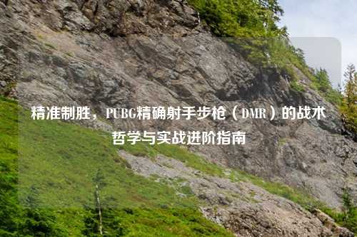 精准制胜，PUBG精确射手步枪（DMR）的战术哲学与实战进阶指南