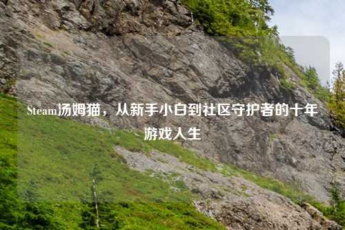 Steam汤姆猫，从新手小白到社区守护者的十年游戏人生