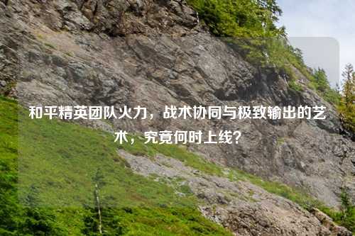 和平精英团队火力，战术协同与极致输出的艺术，究竟何时上线？