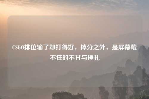 CSGO排位输了却打得好，掉分之外，是屏幕藏不住的不甘与挣扎