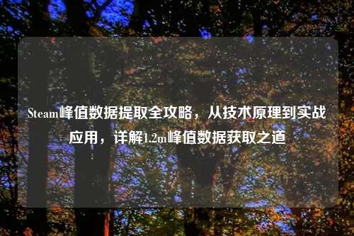 Steam峰值数据提取全攻略，从技术原理到实战应用，详解1.2m峰值数据获取之道