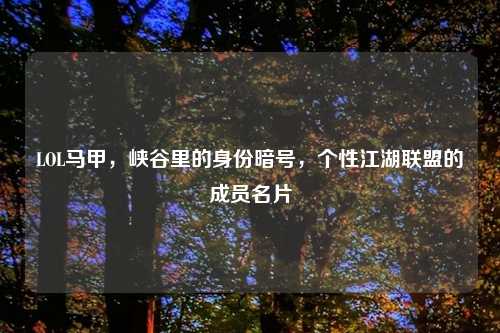 LOL马甲，峡谷里的身份暗号，个性江湖联盟的成员名片