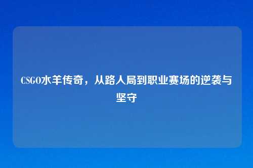 CSGO水羊传奇，从路人局到职业赛场的逆袭与坚守