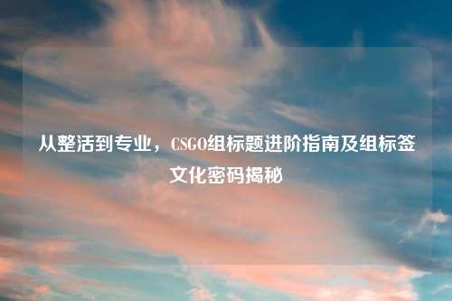 从整活到专业，CSGO组标题进阶指南及组标签文化密码揭秘