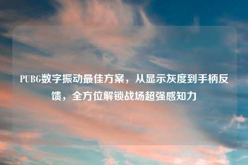 PUBG数字振动更佳方案，从显示灰度到手柄反馈，全方位解锁战场超强感知力