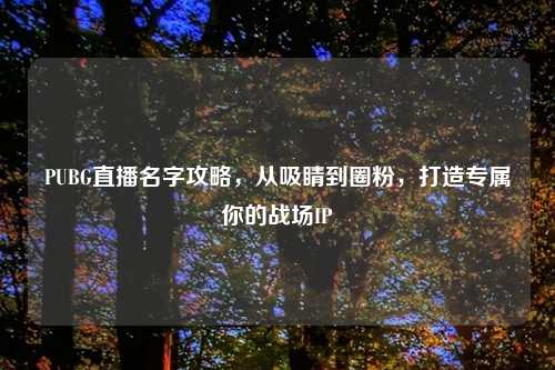 PUBG直播名字攻略，从吸睛到圈粉，打造专属你的战场IP