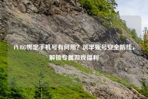PUBG绑定手机号有何用？筑牢账号安全防线，解锁专属游戏福利
