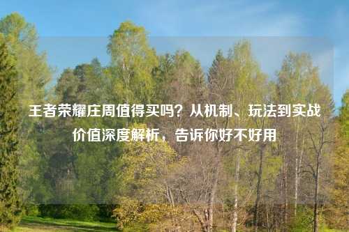 王者荣耀庄周值得买吗？从机制、玩法到实战价值深度解析，告诉你好不好用