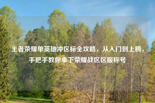 王者荣耀单英雄冲区标全攻略，从入门到上榜，手把手教你拿下荣耀战区区服称号
