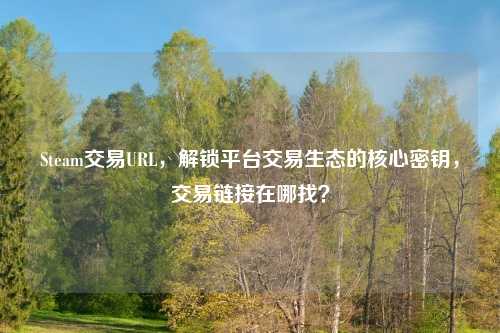 Steam交易URL，解锁平台交易生态的核心密钥，交易链接在哪找？
