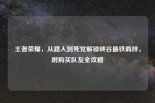 王者荣耀，从路人到死党解锁峡谷最铁羁绊，附购买队友全攻略