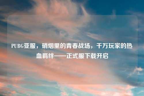 PUBG亚服，硝烟里的青春战场，千万玩家的热血羁绊——正式服下载开启