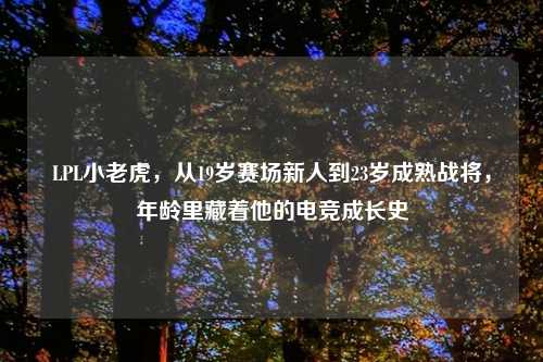 LPL小老虎，从19岁赛场新人到23岁成熟战将，年龄里藏着他的电竞成长史