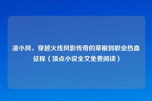 凌小风，穿越火线风影传奇的草根到职业热血征程（顶点小说全文免费阅读）