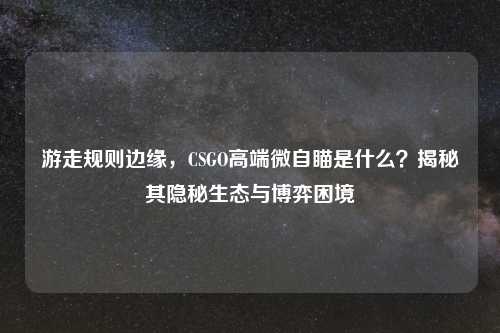 游走规则边缘,CSGO高端微自瞄是什么?揭秘其隐秘生态与博弈困境
