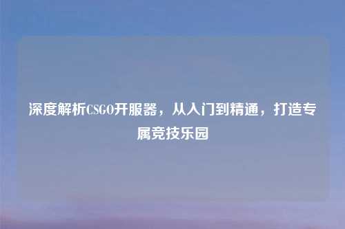 深度解析CSGO开服器，从入门到精通，打造专属竞技乐园