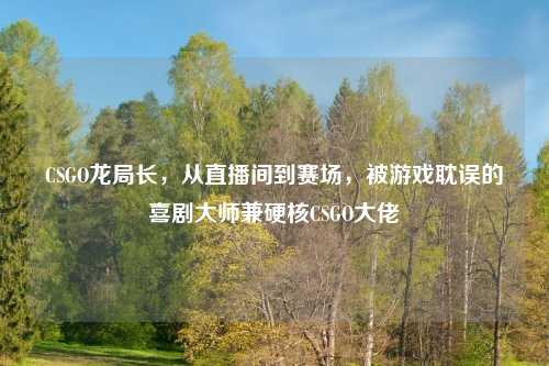 CSGO龙局长，从直播间到赛场，被游戏耽误的喜剧大师兼硬核CSGO大佬