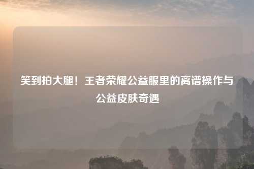 笑到拍大腿！王者荣耀公益服里的离谱操作与公益皮肤奇遇