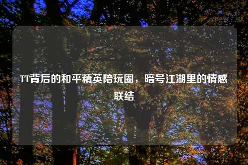 TT背后的和平精英陪玩圈，暗号江湖里的情感联结