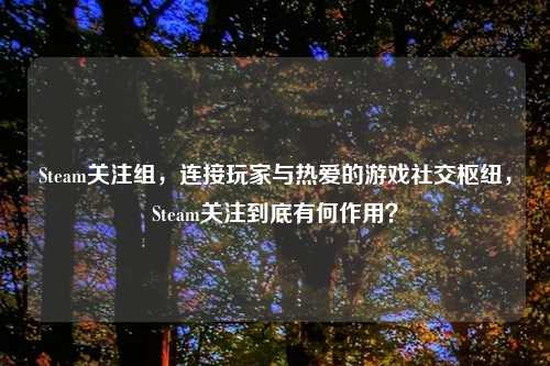 Steam关注组，连接玩家与热爱的游戏社交枢纽，Steam关注到底有何作用？