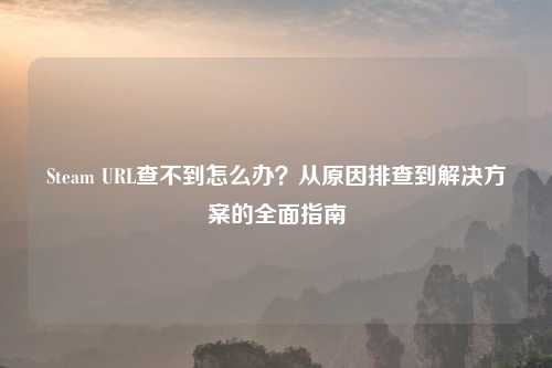 Steam URL查不到怎么办？从原因排查到解决方案的全面指南