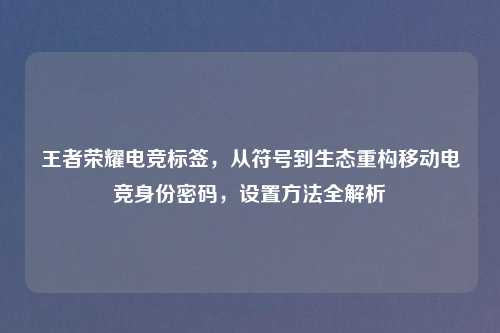王者荣耀电竞标签，从符号到生态重构移动电竞身份密码，设置     全解析