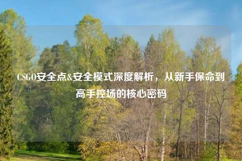CSGO安全点&安全模式深度解析，从新手保命到高手控场的核心密码