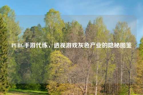 PUBG手游代练，透视游戏灰色产业的隐秘图鉴