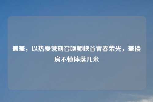 盖盖，以热爱镌刻召唤师峡谷青春荣光，盖楼房不慎摔落几米