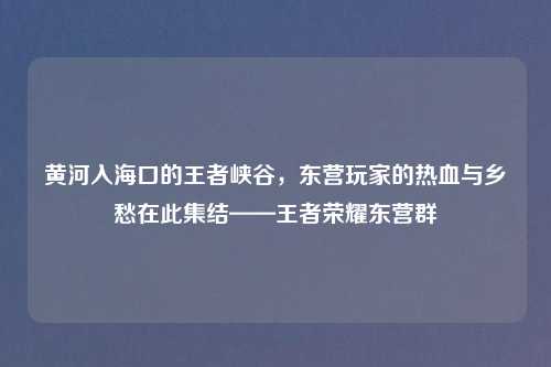 黄河入海口的王者峡谷，东营玩家的热血与乡愁在此集结——王者荣耀东营群