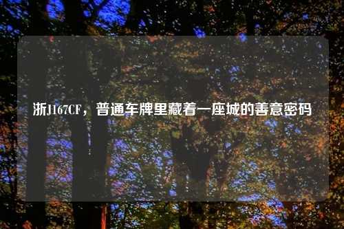 浙J167CF，普通车牌里藏着一座城的善意密码