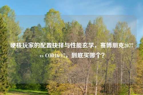 硬核玩家的配置抉择与性能玄学，赛博朋克2077 vs COD16/17，到底买哪个？