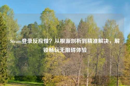 Steam登录反应慢？从根源剖析到精准解决，解锁畅玩无阻碍体验