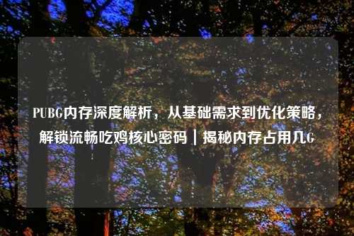 PUBG内存深度解析，从基础需求到优化策略，解锁流畅吃鸡核心密码｜揭秘内存占用几G