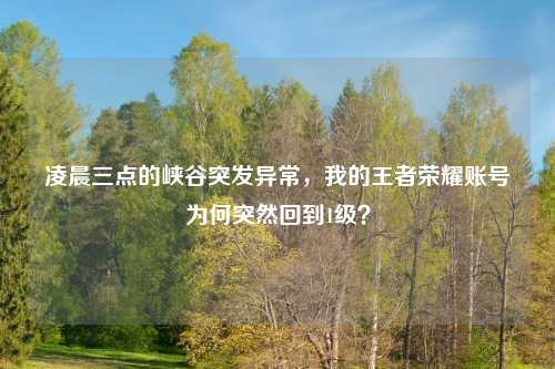凌晨三点的峡谷突发异常，我的王者荣耀账号为何突然回到1级？