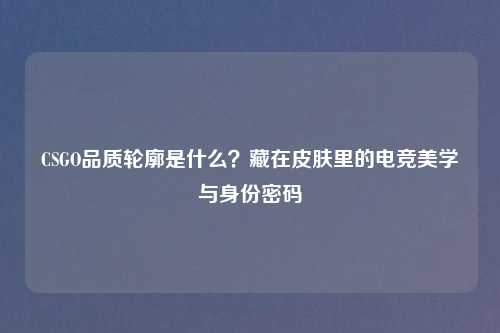 CSGO品质轮廓是什么？藏在皮肤里的电竞美学与身份密码