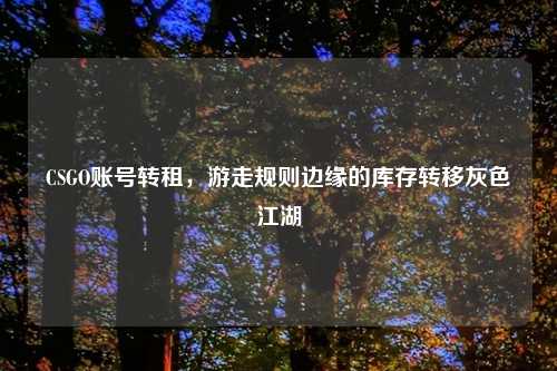 CSGO账号转租，游走规则边缘的库存转移灰色江湖