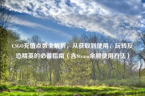 CSGO充值点数全解析，从获取到使用，玩转反恐精英的必备指南（含Steam余额使用     ）