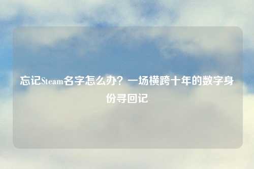 忘记Steam名字怎么办？一场横跨十年的数字身份寻回记