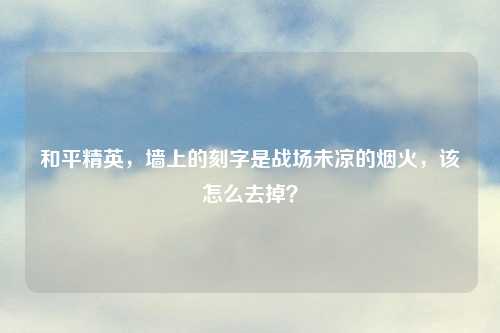 和平精英，墙上的刻字是战场未凉的烟火，该怎么去掉？