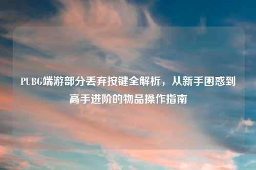 PUBG端游部分丢弃按键全解析，从新手困惑到高手进阶的物品操作指南