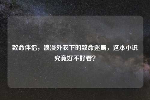 致命伴侣，浪漫外衣下的致命迷局，这本小说究竟好不好看？