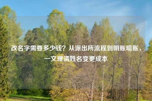 改名字需要多少钱？从派出所流程到明账暗账，一文理清姓名变更成本
