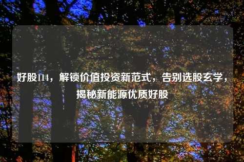 好股114，解锁价值投资新范式，告别选股玄学，揭秘新能源优质好股