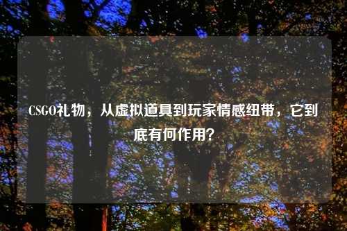 CSGO礼物，从虚拟道具到玩家情感纽带，它到底有何作用？