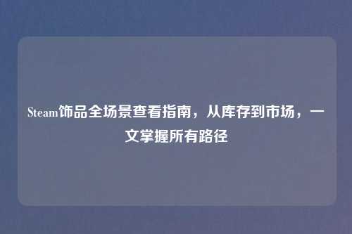 Steam饰品全场景查看指南，从库存到市场，一文掌握所有路径